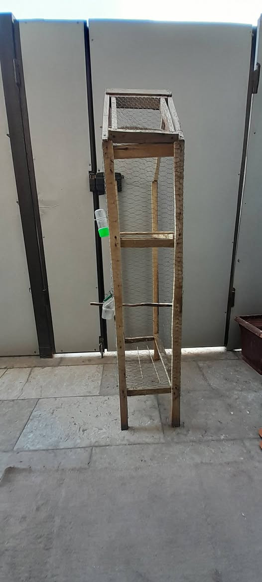 قفص عصافير خاص بالمنور ، ١٠ الف مكاني السيدية


**إذا كنت صاحب هذا الإعلان وتريد حذفه لأي سبب، رجاءا أرسل رسالة إلى الدعم الفني**