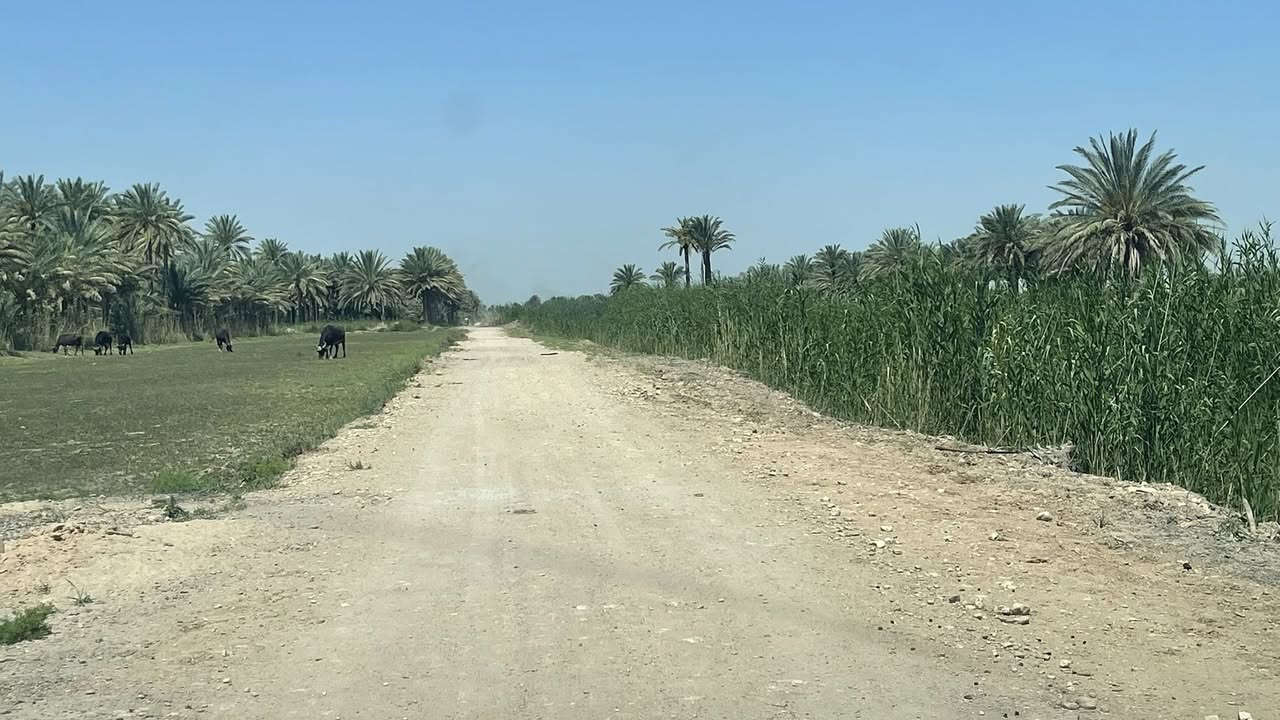 دوانم للبيع طابو 25 تحويل اسهم بس من المشتري في نهر السلام يبعدن عن طريق طويريج 1 كيلو للمعلومات اتصال الواجهه   تريد الف ينباع تريد 500 ينباع /*********** /***********
