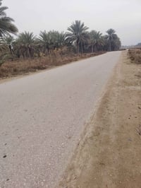 ربع دونم • كربلاء الحسينية • واجهه ٢١م