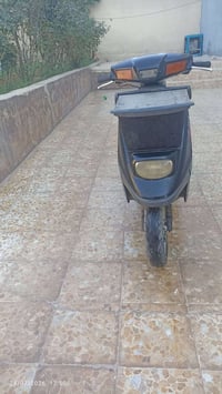 بزون • شاصي شرط • محرك نشاط