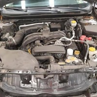 ليجاسي • ٢٠٢٤ • وارد أمريكي