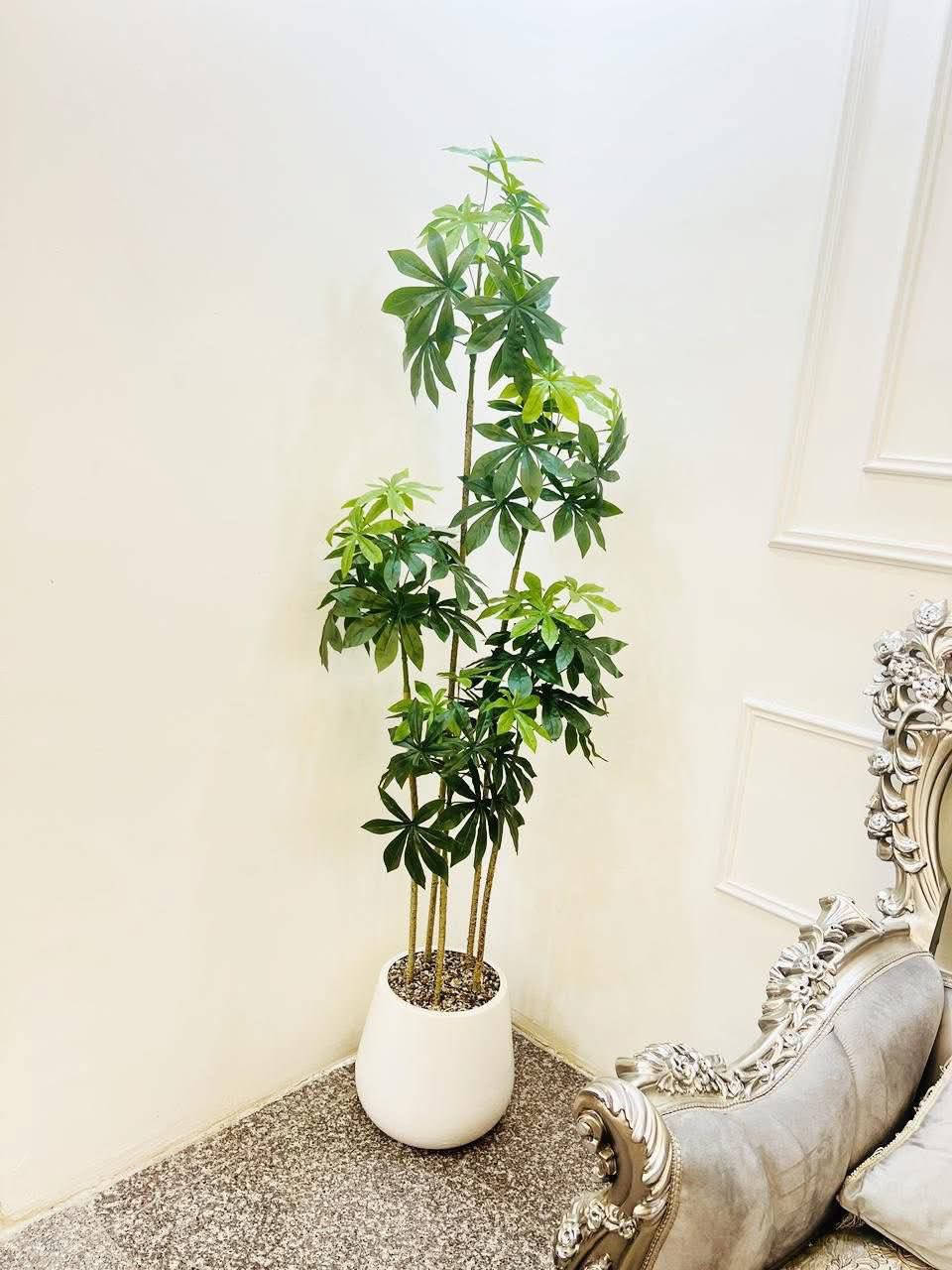 جودة عالية جدا قياس ١٨٠ سم سندانة زجاج ضمن عروض التوصيل المجاني ✅❤️‼️


**إذا كنت صاحب هذا الإعلان وتريد حذفه لأي سبب، رجاءا أرسل رسالة إلى الدعم الفني**