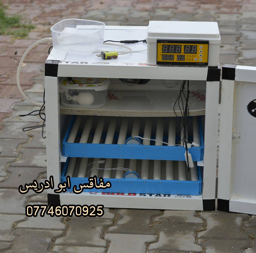 يالله تنبيه باقي ايام قليله وينتهي عرض تخفيض شهر رمضان للفقاسه الالمنيوم الفول اوتوماتيك حجم ١٤٤ بيضه سعر ٢١٠ وتوصيل مجاني   
المواصفات 
1-هيكل الفقاسه المنيوم
2-مغلفه بنل عازل 2 سم 
3-متحكم الفقاسه zl فول اوتماتيك حراره ورطوبه وتقليب دبل كارت  الاصلي  
4-الفقاسه بيها  قلابين دحرجه شيل كل انواع البيض 
5_صير نظام وجبات
6_الفقاسه معايره بجهاز سويسري جيل رابع 
الفقاسه كامله من كل شي ومعايره ومبرمجه يعني بس تخلي البيض مع اتباع تعليماتي 
🟢رجاءا نظام الحجز بعربون والباقي عند الاستلام متعرفني اسال منو ابو ادريس 
الحجز على واتساب ***********‬‏ اوعلى الخاص 
 ✅المصنع ابو ادريس✅
 #فقاسات #مفاقس #مفاقس_ابو_ادريس #توصيل_مجاني #دواجن #صناعه_عراقيه_درجه_اولى
#فقاسات_المنيوم #فقاسات #مفاقس
