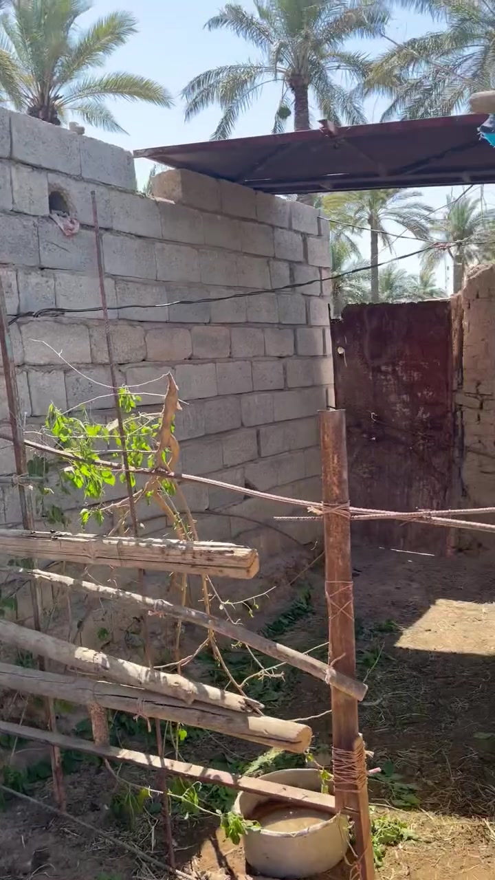 بيت للاجار او بيع مساحه البيت تقريبا ٢٠٠متر ومساحة الارض  تقريبا   ٦٥٠متر مع مزرعه داخلية بناء حديث غرفتين نوم صاله كلش جبيرة حمام داخلي بناء حديث بي نواقص تفاصيل اكثر اتصل مكانه شهربان الهارونيه ***********
