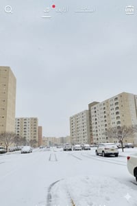 شقة مفروشة • ١٠٠م • بصف المول كلش