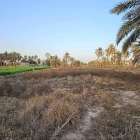 دونم ونص • واجهة ٢٢م • كربلاء الجذار