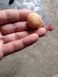 احجار ملاكط • خام • الزعفرانيه جسر ديالى