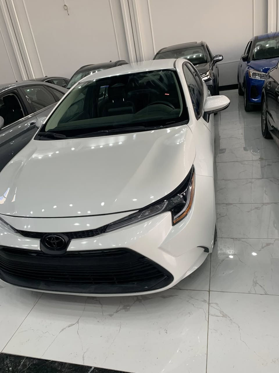 سيارات بيع  بل قساط.  المقدمه  ٦٥ ورقه  
  وكل شهر تسدد ٣٠٠ دولار   العنوان اربيل   كل المحافضات مشمول  بدون كفيل  لاستفسار 
***********
