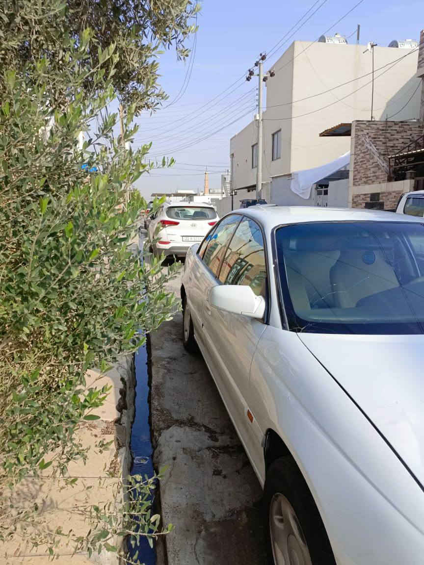 ئو پل ئوميگا. موديل 2000 مه كينه 20 فه ل گير عادى. مه رغوب  عيزام سبوغ بو جواني سه نه وي .  بو زانيني نرخ. رقم *********** أربيل, العراق
