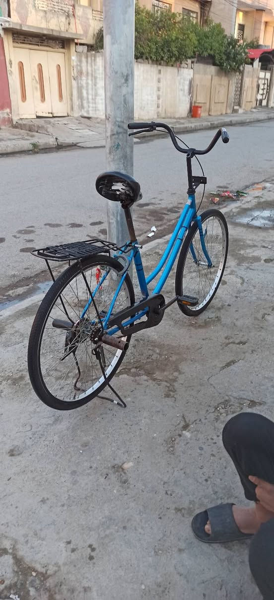 عمي السلام عليكم الحلال للبيع او اراوس حسب الطلب العندو يرسلني على خاص


**إذا كنت صاحب هذا الإعلان وتريد حذفه لأي سبب، رجاءا أرسل رسالة إلى الدعم الفني**