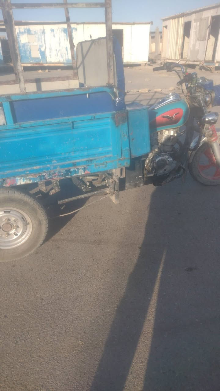 للبيع صقر   اوراق كاملة مكان بغداد حي انصر السعر  700 شراي ينتصل مكلف بنشر  ***********
