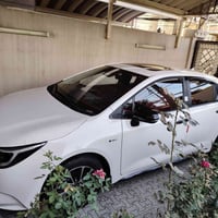 عندى كورلاه 2024 هايبرد كفاله عامه رقم بغداد اريد مراوس بسيراتو او فور...