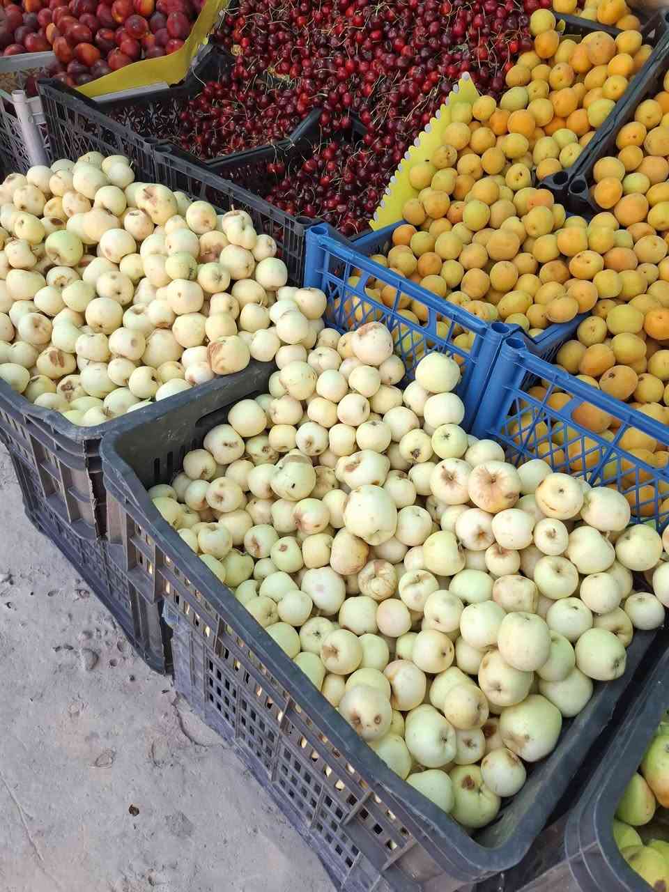بسم الله زبائنا الكرام تشكيلة اليوم درجة اولى واسعار مناسبه...علوة الريان..مدخل الديوم بمكان السيطرة القديمة..توصيل ماكو نعتذر


**إذا كنت صاحب هذا الإعلان وتريد حذفه لأي سبب، رجاءا أرسل رسالة إلى الدعم الفني**