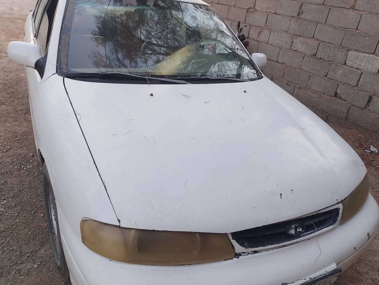 ياالله سيفيه للبيع ٩٦رقم الماني سنويه نافذه ٤اشهر راعيها ابن عمي كير جيد مكينه بيها تنقيص تخم تاير كهربائيات شغاله تبريد عوزه غاز
دوشمه نص عمر
السعر١٧ المكان واسط ***********
