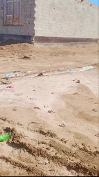 حي زيتون • ٢٠٠م • بصف البيت