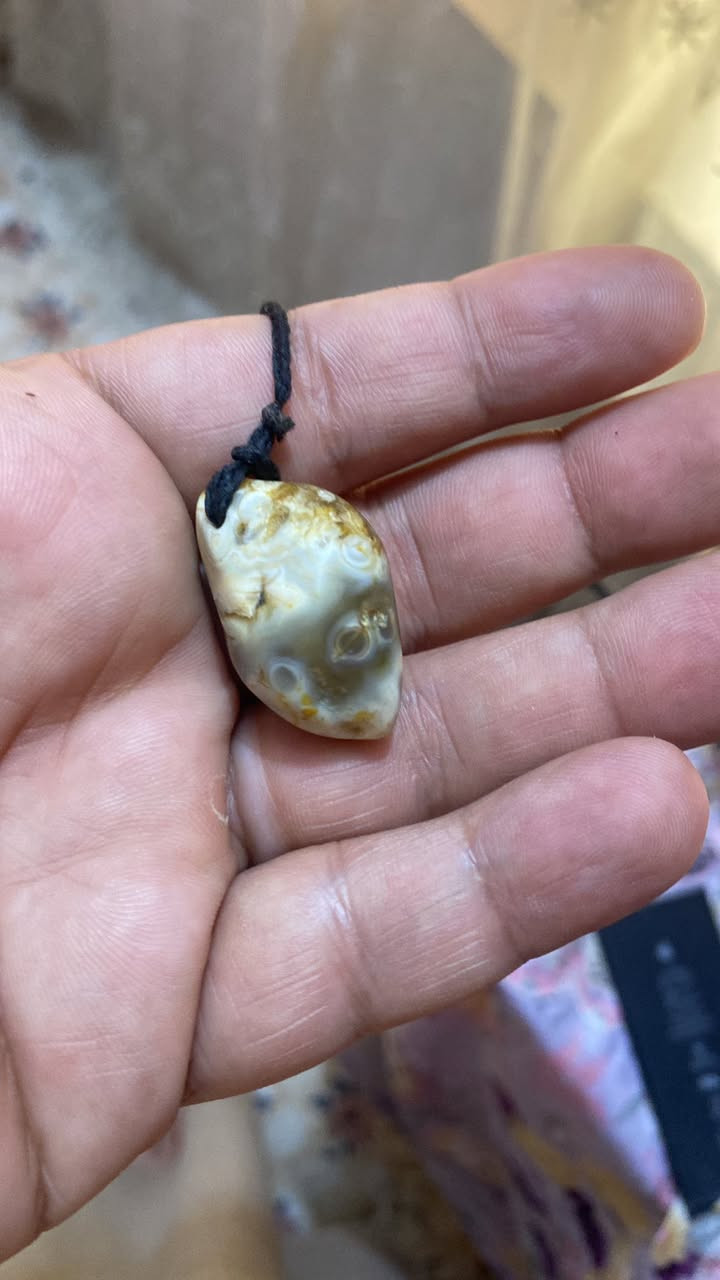 حط سعرك باليرضي الله


**إذا كنت صاحب هذا الإعلان وتريد حذفه لأي سبب، رجاءا أرسل رسالة إلى الدعم الفني**