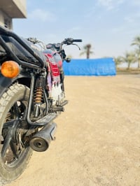 بوكسر جبلي • مديل 2023 • كربلاء