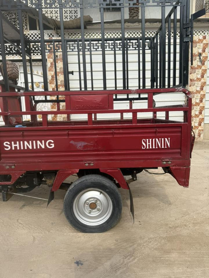 ستوتة للبيع ٢٠٢١ أوراق اصولي مكمركة رقم ***********
