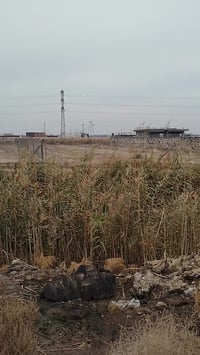 سنتر طريق ياحسين • ١٥٠٠م • أرض