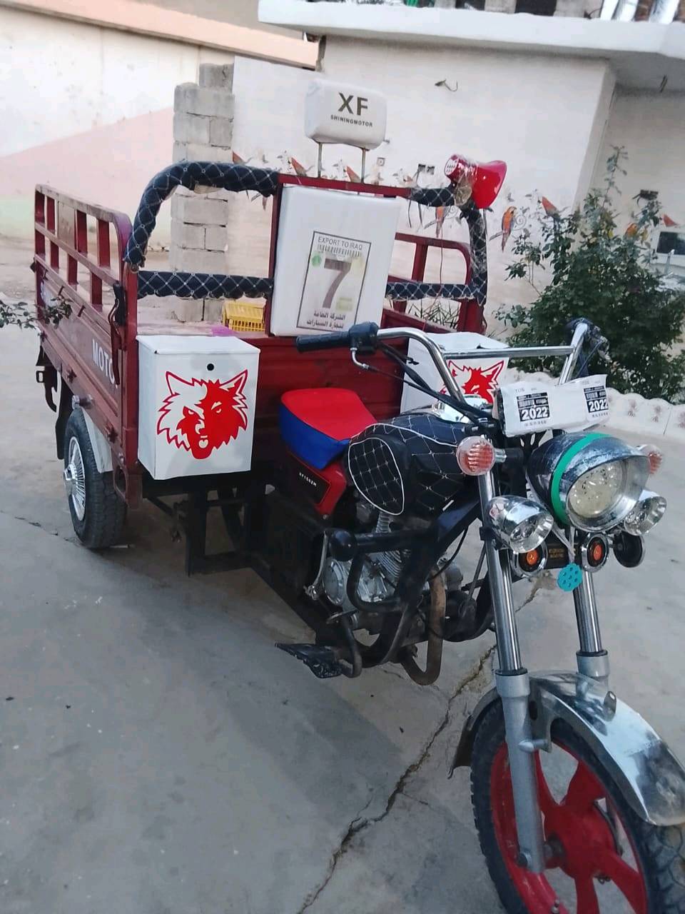 ديالى العباس 