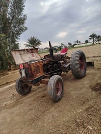 عنتر للبيع . للاستفسار الاتصال على الرقم 07735360696