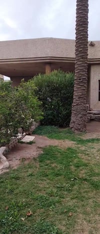 طابو زراعي • المدائن مجاور ملعب الجمعيه • مساحه ٦٢٨م