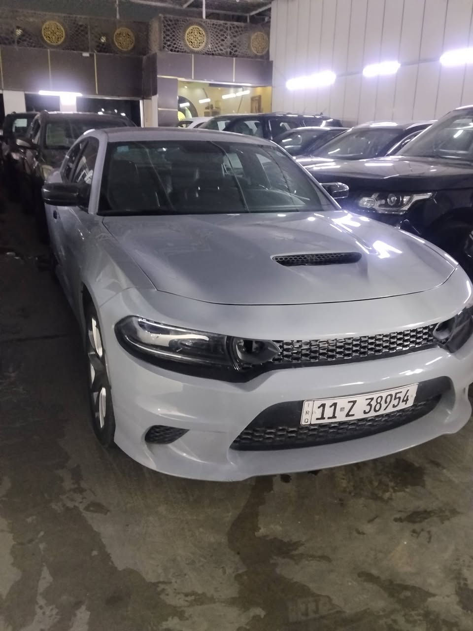 اقسـاط اقسـاط سكنـت بغداد فقط 
يوجد بيوايدي سيل 5
بيوايدي دستروير وجميع السيارات 
مديل 2025 
مرقم كامل
                    مقـــدمه 60$ورقه وفوك  بالشهر 500 الف 
استلام فوري
ضمان مستمسكاتك فقط
تشمل جميع لمواطنين كاسب اي شخص عادي لمهم من بغداد
جماعت 50ورقه لتعبني مترهم


**إذا كنت صاحب هذا الإعلان وتريد حذفه لأي سبب، رجاءا أرسل رسالة إلى الدعم الفني**