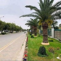 قطعه ارض 100 واجه 5 نزال 20 زيونه  محله 710 موقع مميز بسعر مناسب البيع...