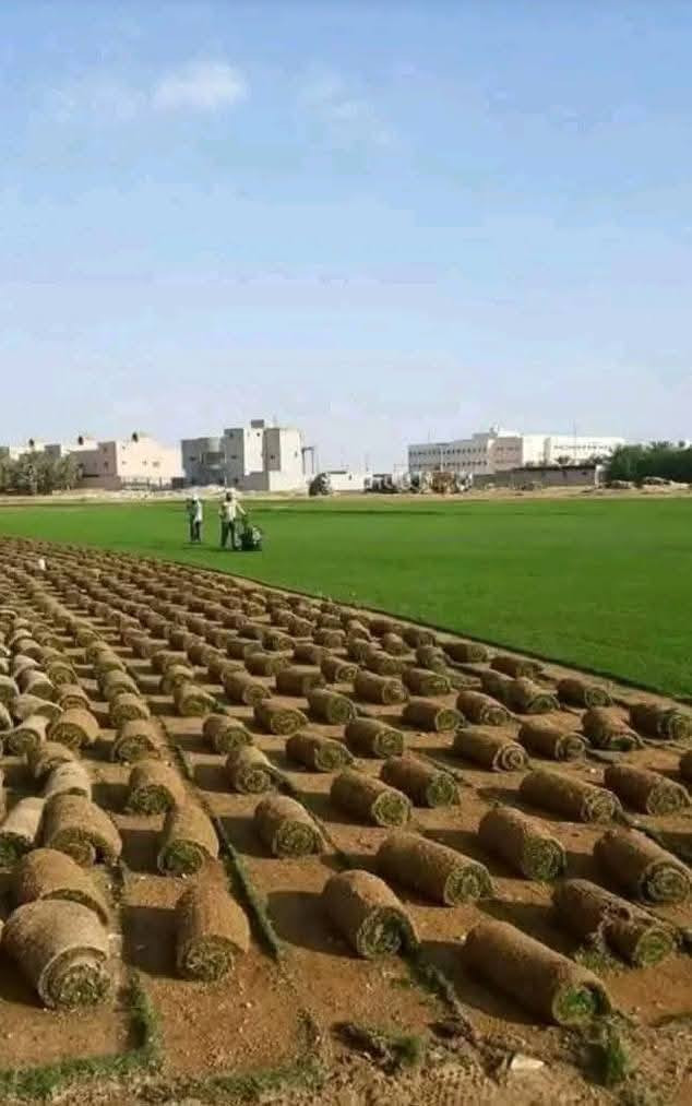 مرحبا زبائنا الكرام نوفر لقد عدنا لكم بل موسم الجديد للزراعه الحدائق بكادر مختص 
  افضل انواع الثيل
الطبيعي وبجوده عاليه
بكافة انوعه🌲
الفرنسي🇫🇷
والايطاليا🇮🇹
والهندي🇮🇳
وبأسعار تنافسيه$
وتوصيل مجاني لجميع محافضات العراق 🚗
للتواصل الاتصال على الرقم ***********
