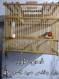 بغداد ابو دشير • اغراض شخصية • متفرقات