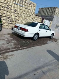 فلات فول • رقم إنكليزي • نجف باسمي