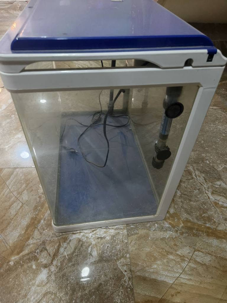 السلام عليكم عندي حوض سمك للبيع السعر ٤٠ وبيه مجال المكان نجف كوفه حي ميسان نضيف الحوض وكله شغال رقم *********** النجف, العراق
