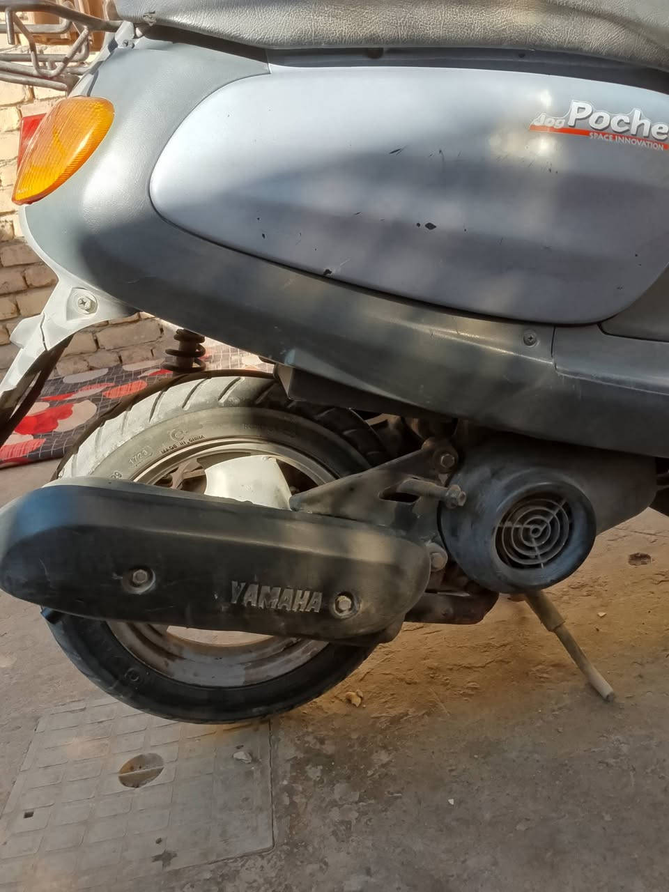 درجه منغولي ام سله البيع السعرخاص وتصل***********
