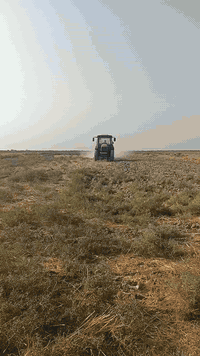 سلام عليكم مكينه البيع تركي حجم 115 مكينه مكفوله كفاله عامه من محرك وكير وكسن وكهربايات كلها شقاله موديل 2015 تخم تواير رقم سليمانيه دولي سنويه مجدده ال 2028تحويل ثاني يوم بسمك مكينه فول عادي المكان العماره قضاء كميت اتصل على الرقم ***********
