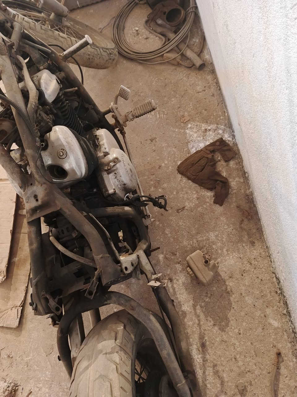 ستد ببر تفصيخ راسلني وتدلل توصيل موجود ***********
