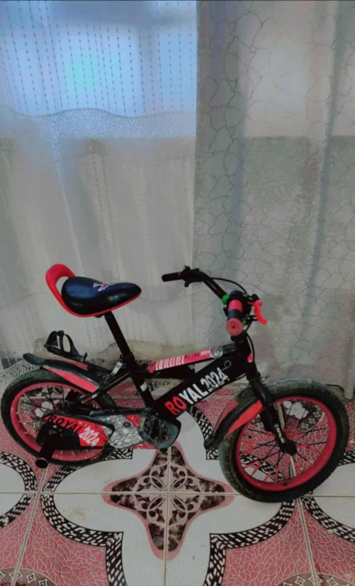 ديوان ب٣٠٠ وثاني ب١٣٠ بايسكل ب٣٠


**إذا كنت صاحب هذا الإعلان وتريد حذفه لأي سبب، رجاءا أرسل رسالة إلى الدعم الفني**