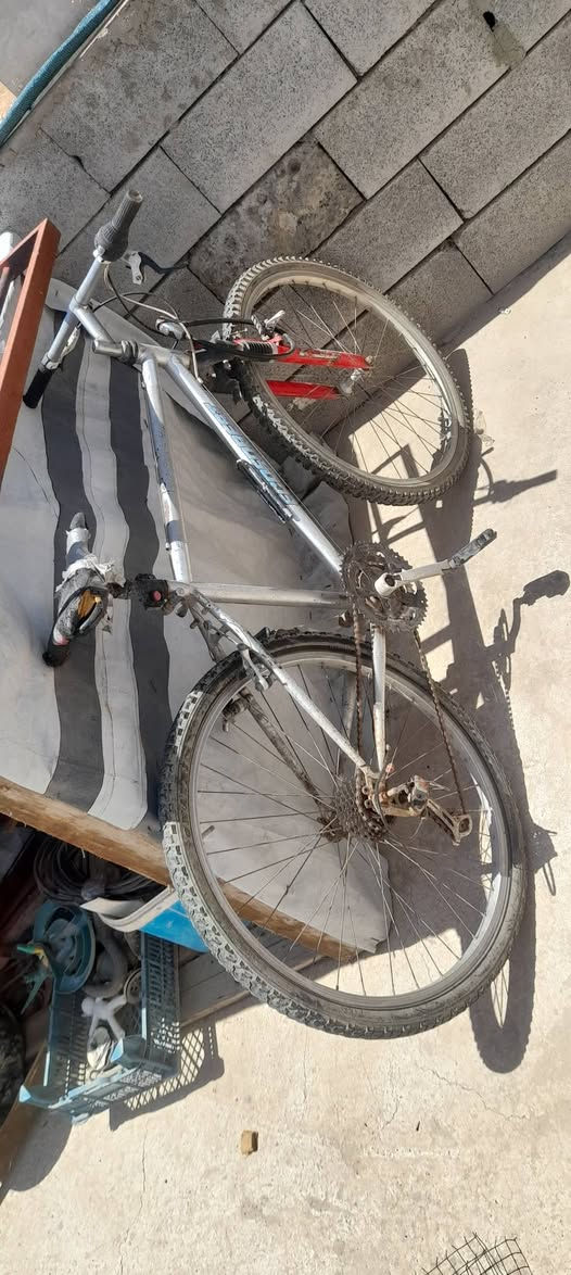 سلام عليكم عندي باسكل حجم ٢٦ تارات جداد جوابه جداد بريكات كدام وراه كير شغال خاص سعر ٤٠ بي مجال


**إذا كنت صاحب هذا الإعلان وتريد حذفه لأي سبب، رجاءا أرسل رسالة إلى الدعم الفني**