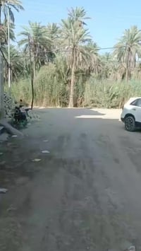 بيت للبيع • باب بغداد • ١٠٠م