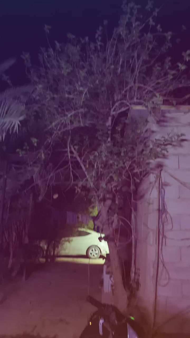 السلام عليكم 
ماكس مضلع نوزل للبيع 
دبل رياضي بلادي
گزوز صچمي ابو الحساس بلادي
وياله نجمه بلادي لون أسود 
عقل رباعيه كوسو بلادي
كڤرات بلادي بس شويه تعبانات 
الدراجه مفتوحه فقط ربل ولف وبلاديه تخبل شلعه ومعدل طيران نقصها بس مازده مال اشاره يسرى الباقي كله يخبل
السعر 650 وبيها مجال بسيط
البصرة ابو الخصيب


**إذا كنت صاحب هذا الإعلان وتريد حذفه لأي سبب، رجاءا أرسل رسالة إلى الدعم الفني**