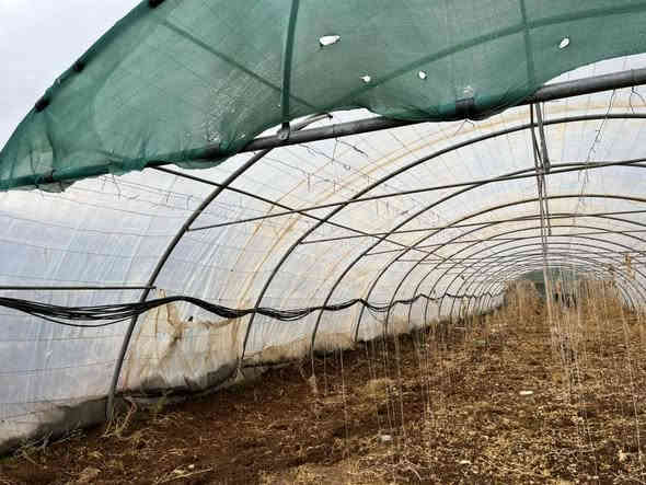 4 بەیتی ملیمو نیو بۆ فرۆشتن
لایلۆن و تەلی تازەیە
بە کامل ئەشیاکانیەوە
شوێن بازیان

سـعـر : لە کۆمێنت داوابکە ڕاستەوخۆ بۆت دێت 📥 

هیچ کێشەیەکی تێدا نییە 

ژمارەی خاوەنەکەی 
***********
