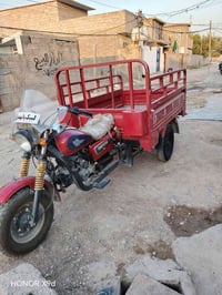 ستوته • دبل محجر • اوراق اصولية