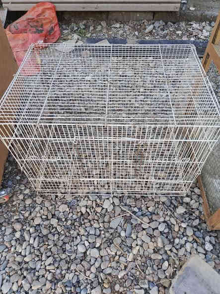 السلام عليكم اقفاص الطيور للبيع
العدد 3 الكبير ب60 ألف والوسط ب30 والصغير ب20 العنوان بعقوبة قرب تقاطع القدس 
***********
