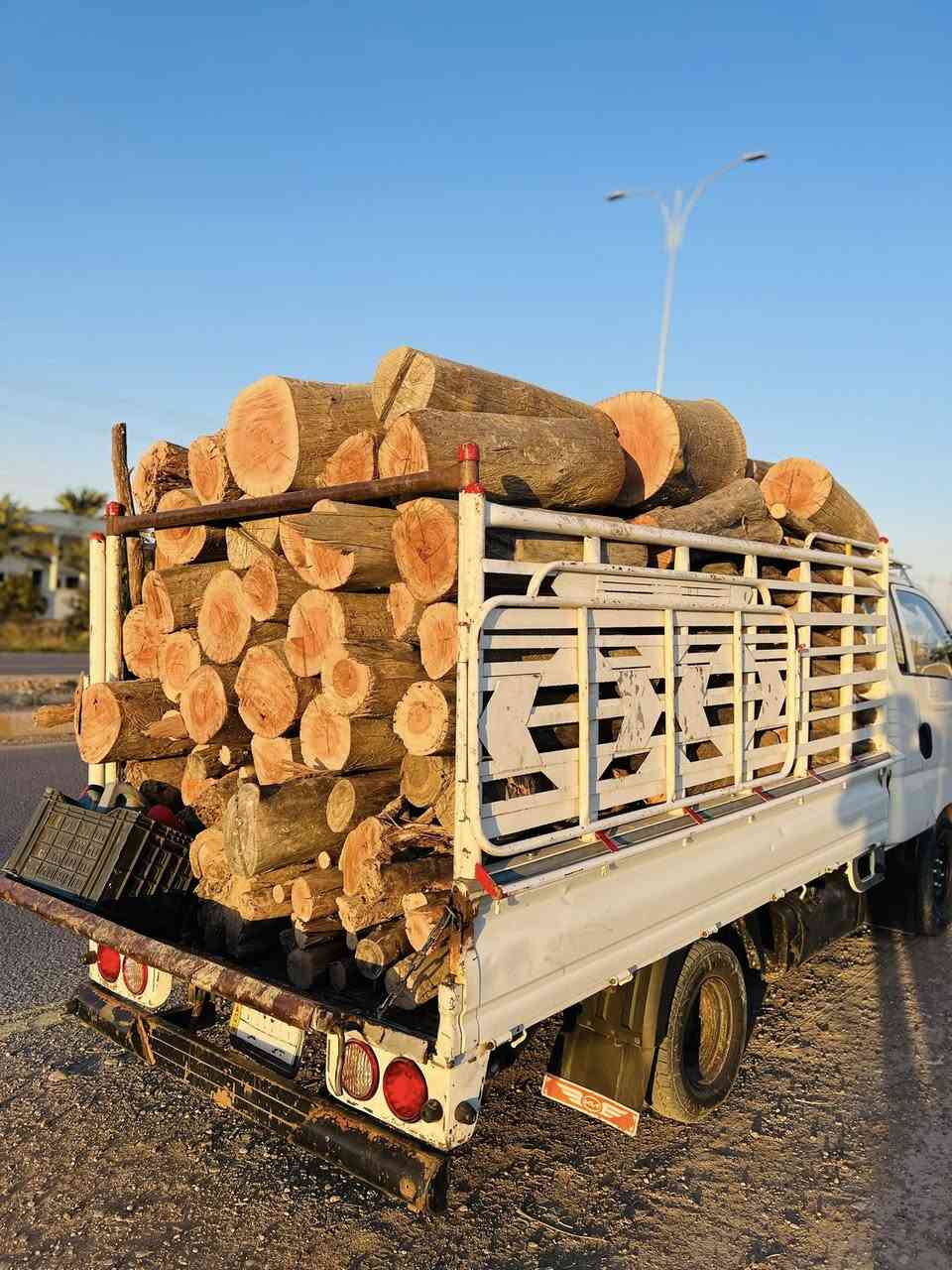 السلام عليكم
#ادمن وافق يرحم والديك الله يرزقك لان هذا رزقنا
الي عنده خشب للبيع فحم  اشتري مكصوص او ما  مكصوص اي نوعيه من الخشب نشتري قلنطوز توث غرب حمضيات شعندك ناخذ يابس او أخضر
 عندك اشجار اكبار بالحديقة هم اكصها ورتبها الك 
عندك بستان وتريد تكصه اي شي ما عليك بس تعلق او تتصل او تتفضل خاص اشتري بكميات 
للعلم اني اشتري وابيع والف هلاا
اني فحام وعلى باب الله وهذا رزقنا وإنشاء الله يرزق الجميع 
اخذ بسعر زين الي عنده ينزل التفاصيل المكان الرقم
***********
#اخذ_قلنطوز_بكميات_اخذ_جزرات_غرب_قلنطوز__تكي_اخذ_حويجة_مال_خشب٧
