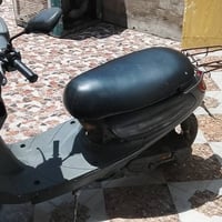 طور بزون • نفخ • شغال