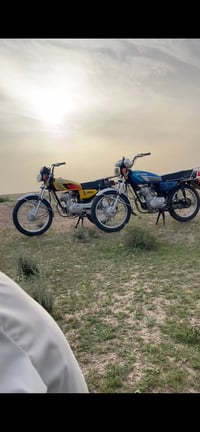 سكنر • مكفوله • مامفتوح