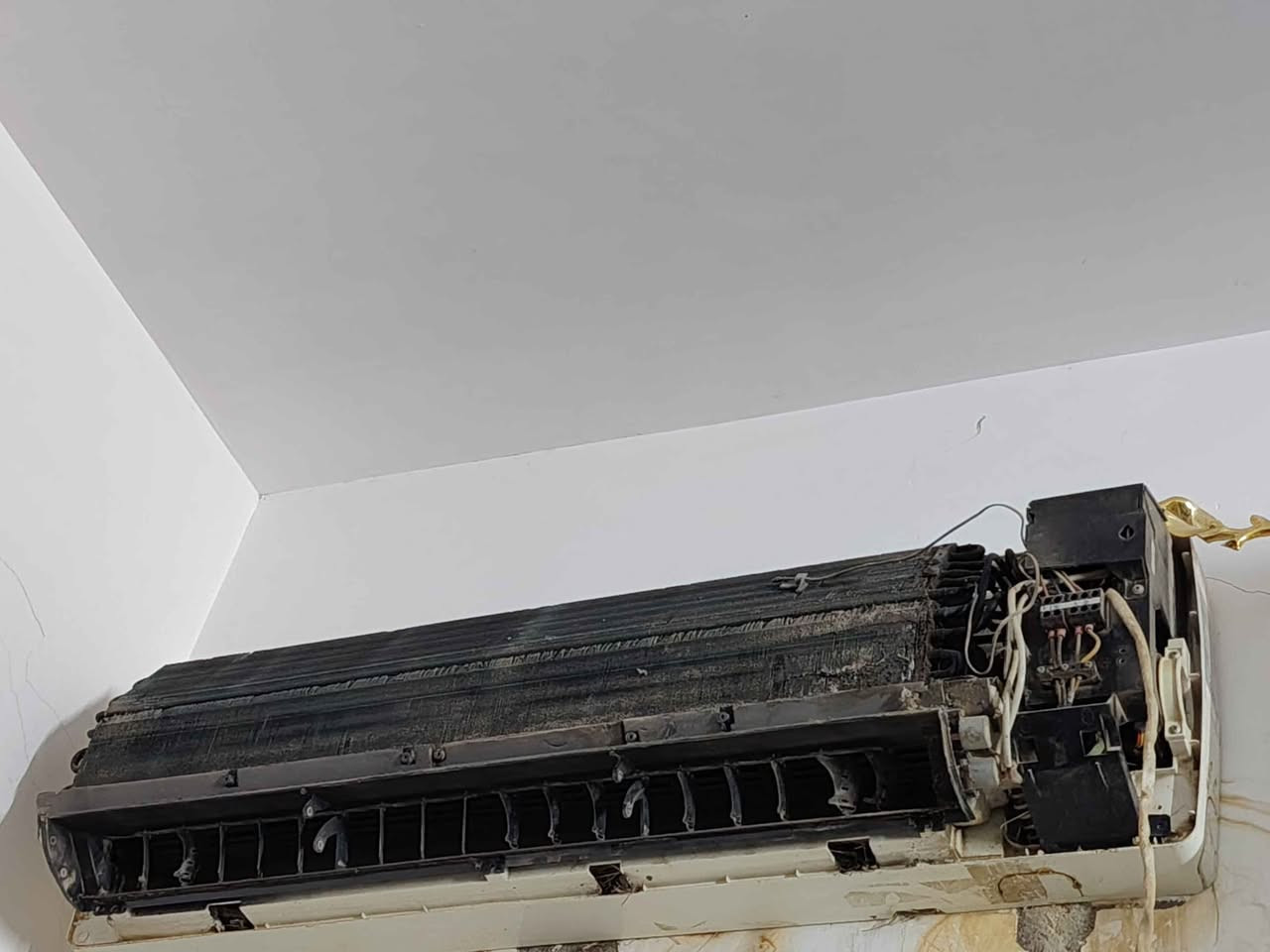 سبلت الداخليه دايكن
خارجية الحافظ 2 طن فقط مابي غاز مكاني ديوانية ال حمد سعره 190 الي يفيده يدزلي خاص ديوانية, القادسية


**إذا كنت صاحب هذا الإعلان وتريد حذفه لأي سبب، رجاءا أرسل رسالة إلى الدعم الفني**