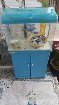 رقم الهاتف 07815142163