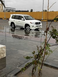 لاندكروزر • ٢٠١٤ • رقم بصره