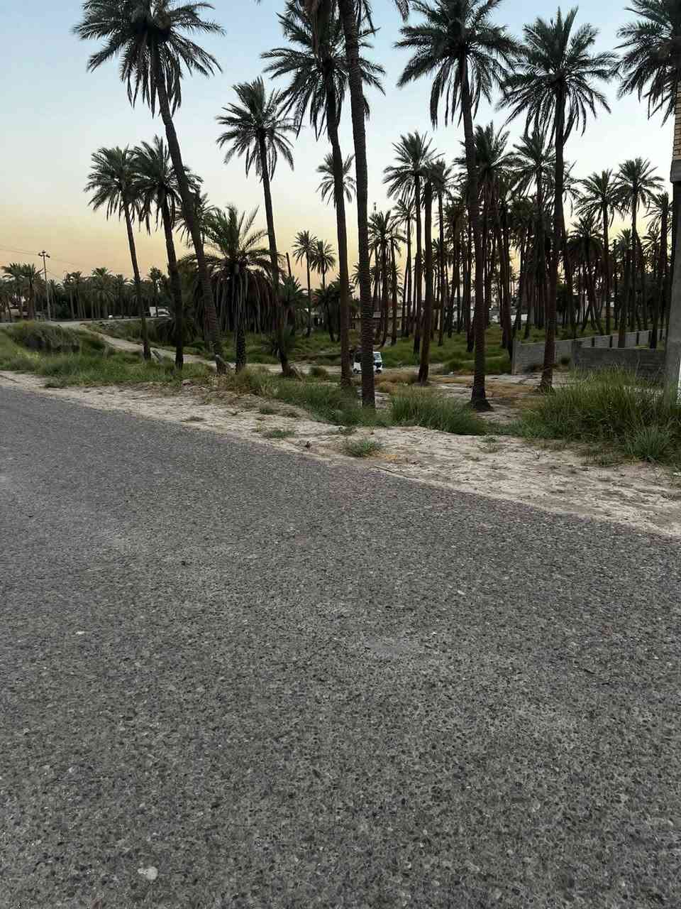 قرب الجسر الفرنسي قرب الالعاب ***********

