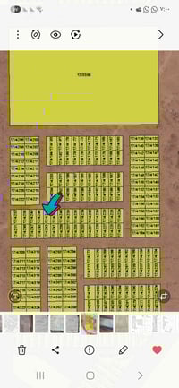 التوحيد • ١٠٠م • قرب جامع الويس